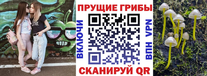 Псилоцибиновые грибы прущие грибы  omg ССЫЛКА  Опочка 